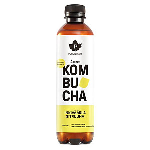 Puhdistamo Kombucha BIO ZÁZVOR - CITRON 400 ml