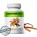 MycoMedica CORDYCEPS CS-4 (30 %) 90 kapsúl