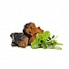 MYCOMEDICA CHAGA SUŠENÁ 100 G